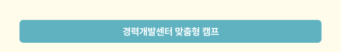 경력개발센터 맞춤형 캠프