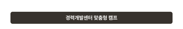 경력개발센터 맞춤형 캠프
